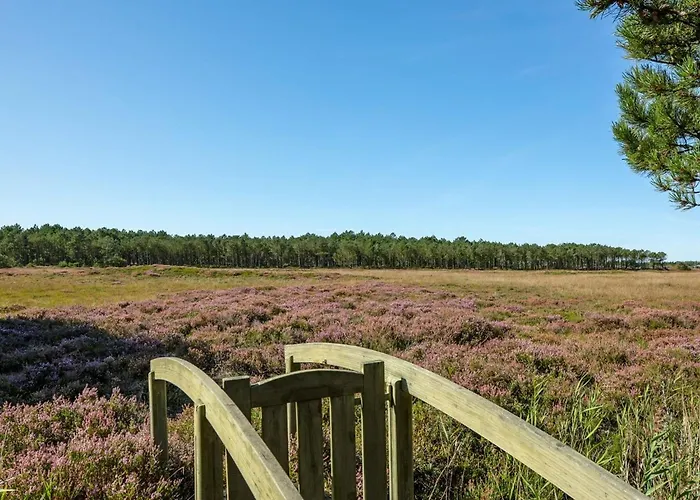 Tea - 2-7km From The Sea By Interhome Semesterbostad Bolilmark